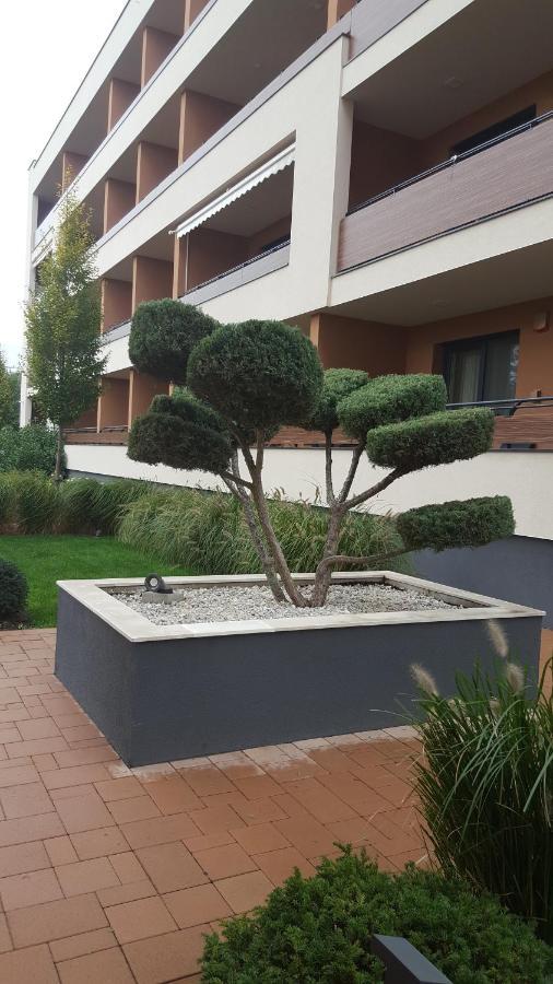 Big Forest Apartman Apartment Debreţin Exterior foto